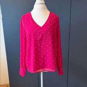 J. crew Women's Hot Pink V-Neck Long Sleeve Blouse